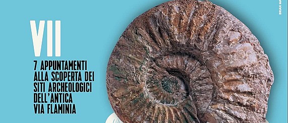 Fermignano- Geologia e Fossili nella Gola del Furlo