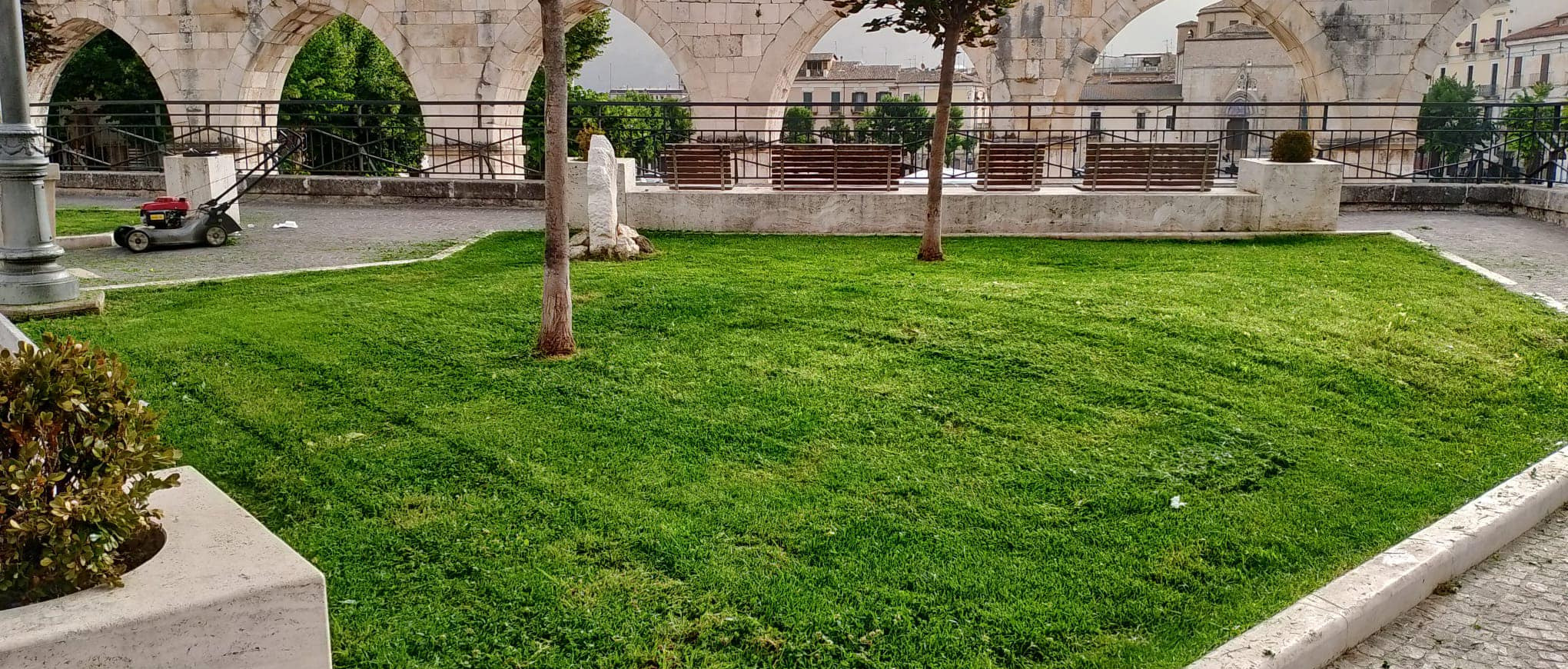 Immagine principale