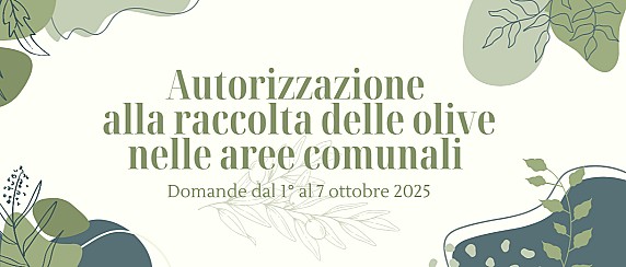 Autorizzazione alla raccolta delle olive nelle aree comunali – anno 2025