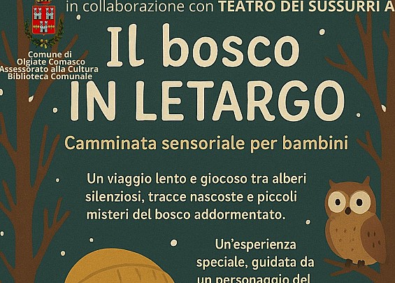 Immagine non trovata