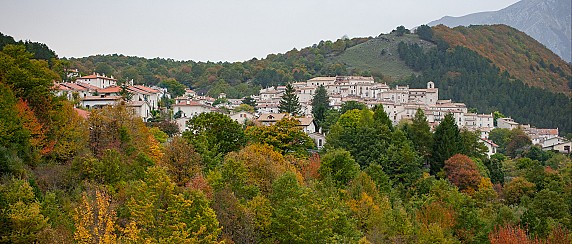 image_thumb