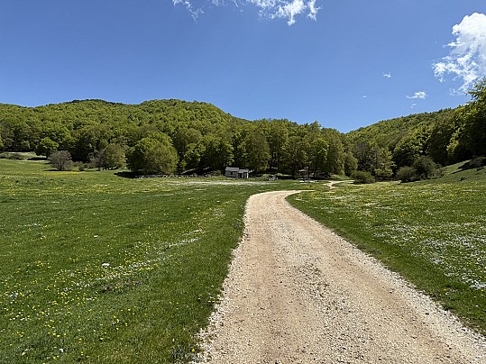 campocatino1