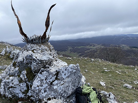 cima fontecellese
