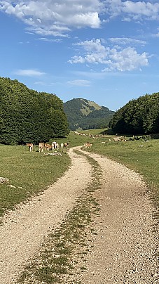 IMG_2475