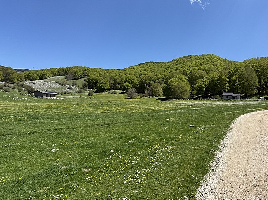 campocatino2