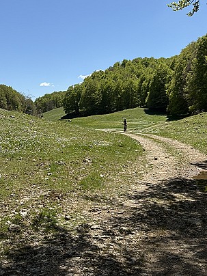 pressi acquaramata3
