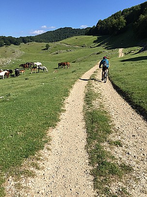 fonte spina2