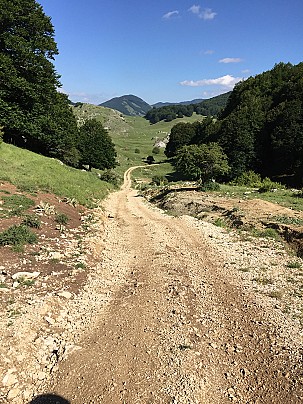 fonte spina