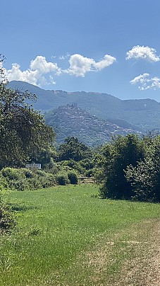 IMG_2553