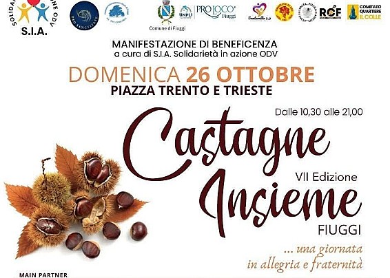 Immagine non trovata