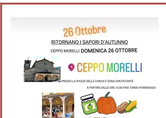 Immagine non trovata