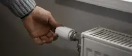 Immagine principale
