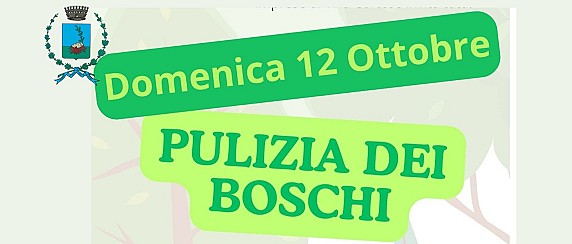 PULIZIA DEI BOSCHI!