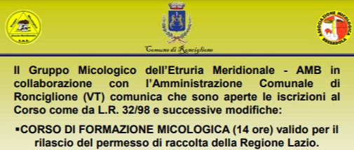 Immagine principale