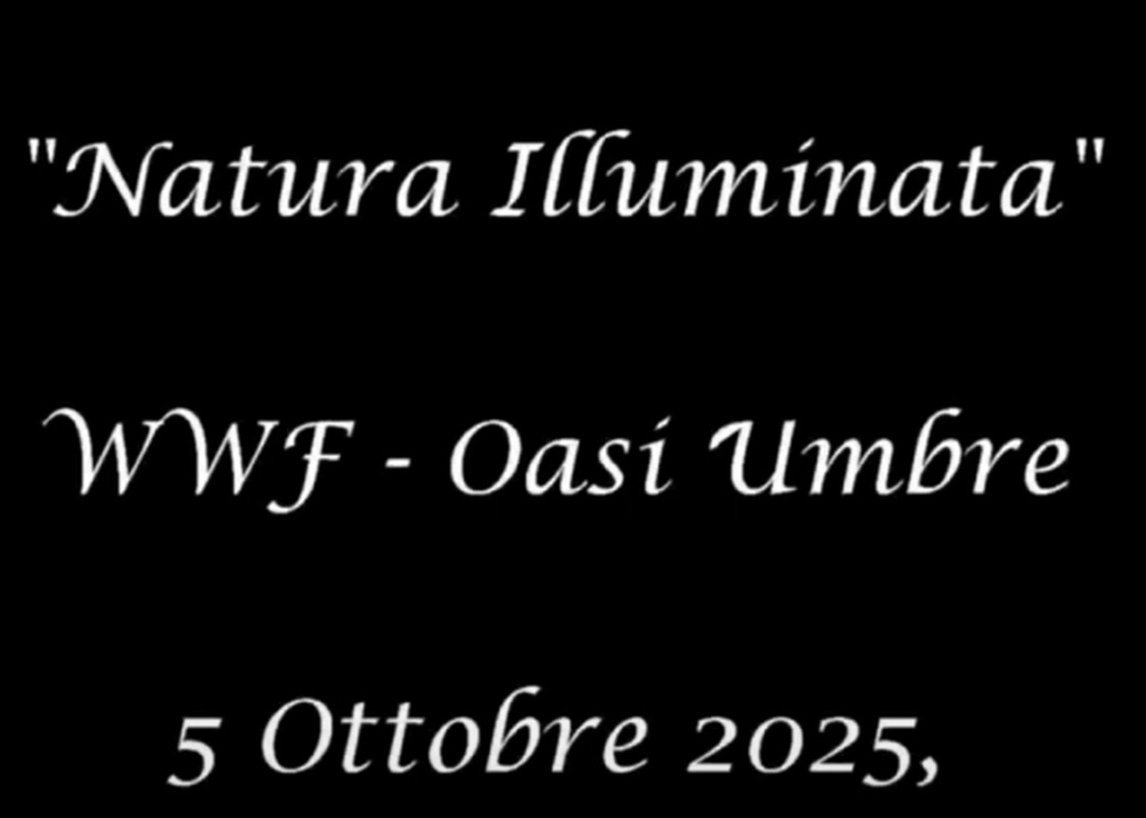 “NATURA ILLUMINATA” di AURO & CELSO CECCOBELLI