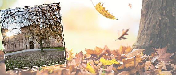 Sagra d'Autunno 2025