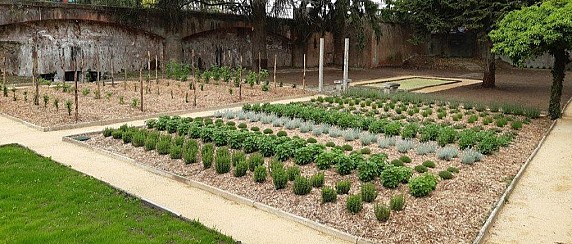 "Ti porto nel giardino dei profumi"