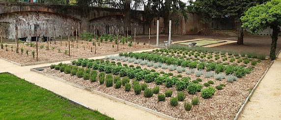 "Ti porto nel giardino dei profumi"