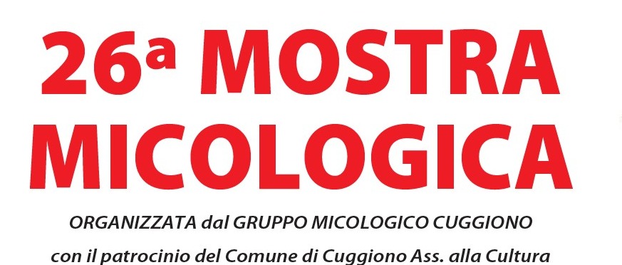 Immagine principale