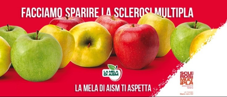 Immagine principale
