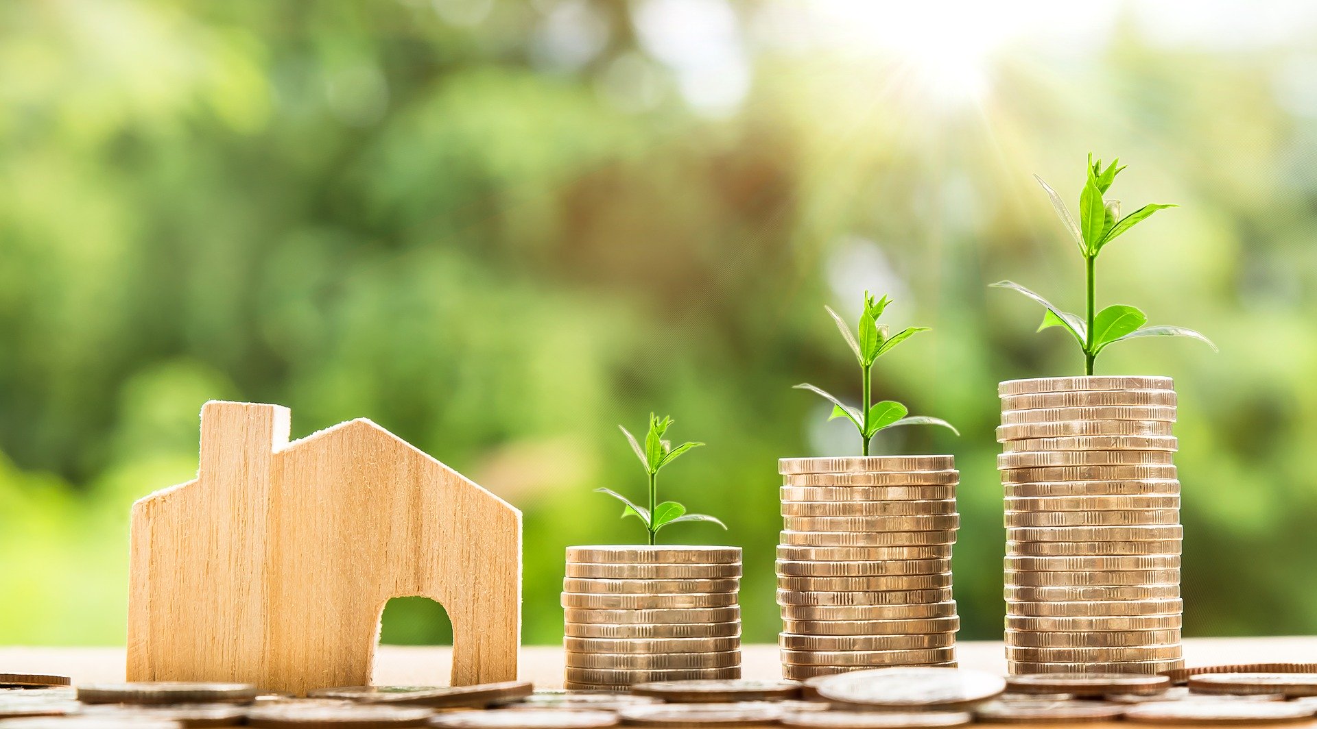 PROGRAMMA DI INTERVENTI ECONOMICI A FAVORE DELLE FAMIGLIE FRAGILI RESIDENTI IN VENETO