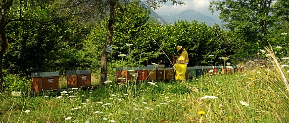 Accompagnamento per imprese agricole