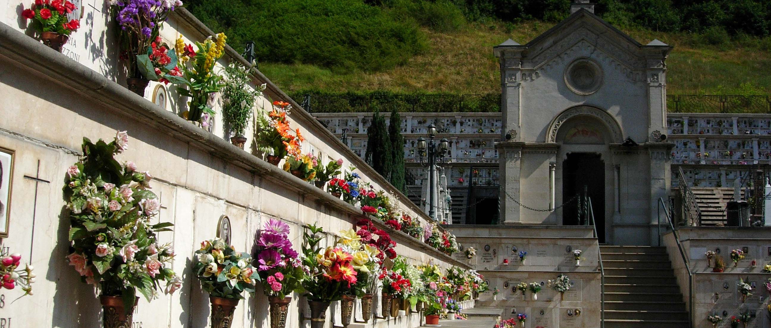 Immagine principale