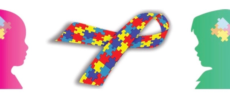 INTERVENTI A SOSTEGNO DELLE FAMIGLIE DEI MINORI NELLO SPETTRO AUTISTICO FINO AL DODICESIMO ANNO DI ETA'