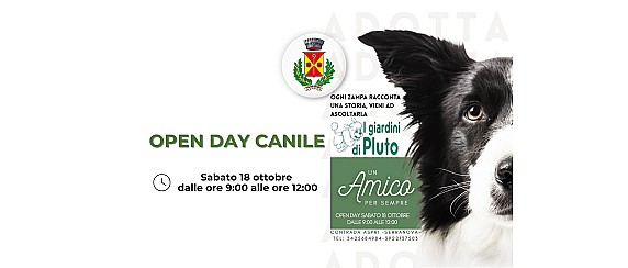 image_thumb image_thumb