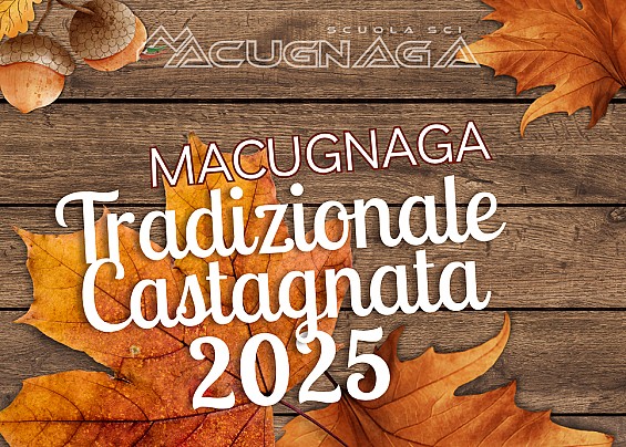 Immagine non trovata