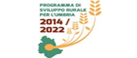 P.S.R. dell'Umbria 2014 – 2022. Misura 7 Intervento 7.4.1 “Sostegno investimenti creazione/miglioramento-ampliamento servizi popolazione rurale”.  Progetto “Realizzazione del Centro servizi socio assistenziali per disabili in loc. San Rocco”.