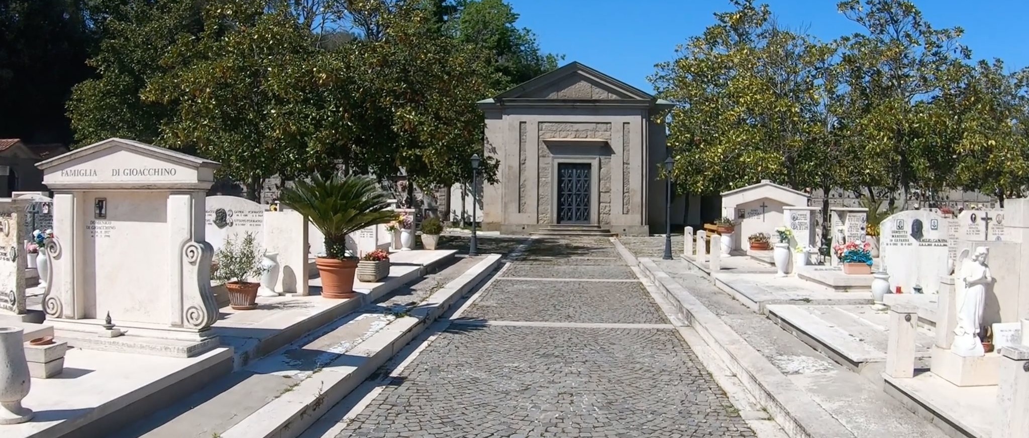 Immagine principale