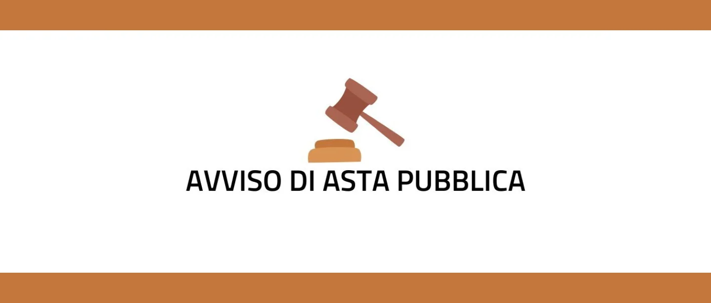 AVVISO PARTECIPAZIONE ASTA PUBBLICA RUSPA COMUNALE