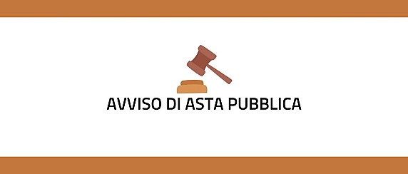 AVVISO PARTECIPAZIONE ASTA PUBBLICA RUSPA COMUNALE