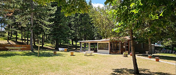 AVVISO BANDO DI GARA  PER L'AFFIDAMENTO IN CONCESSIONE DELLA STRUTTURA PREFABBRICATA DI PROPRIETA’ COMUNALE SITA NEL PARCO PUBBLICO “L. CIACCI”