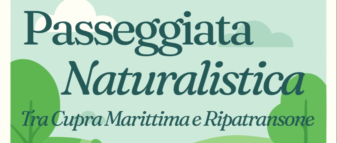 Immagine principale