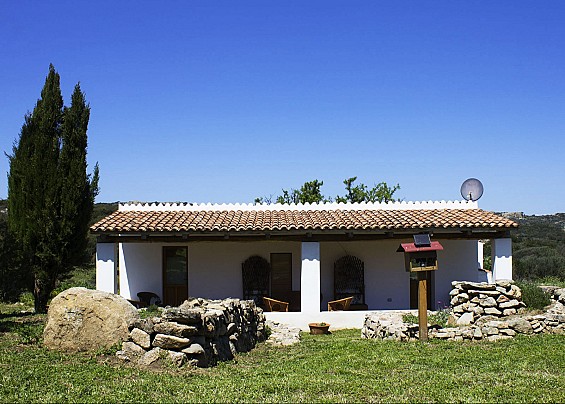 Immagine non trovata