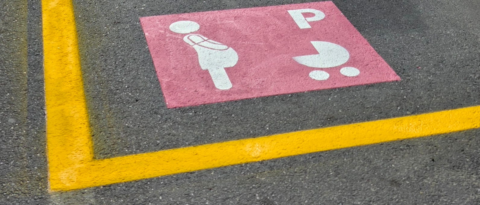 ISTITUZIONE PARCHEGGI ROSA