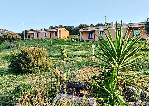 Immagine non trovata