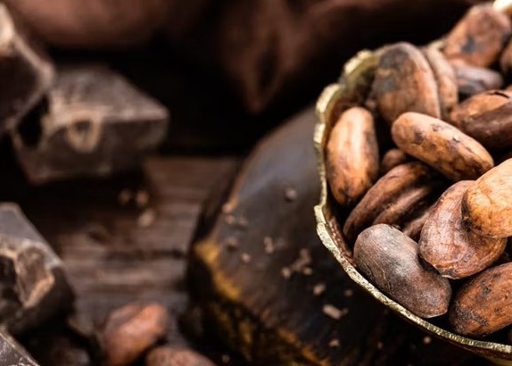 Corso: Alla scoperta del cioccolato