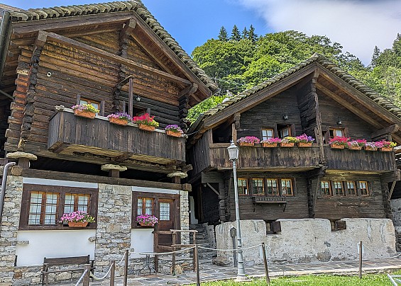 Immagine non trovata