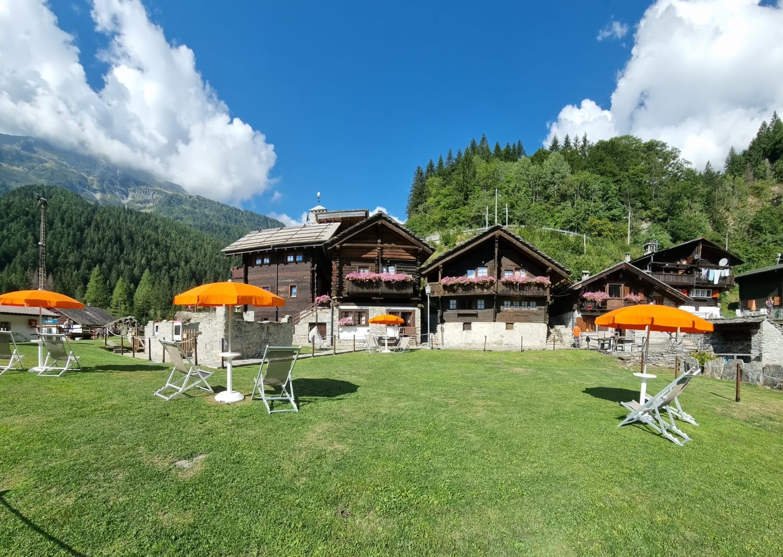 IMG-20220828-WA0016 - Copia