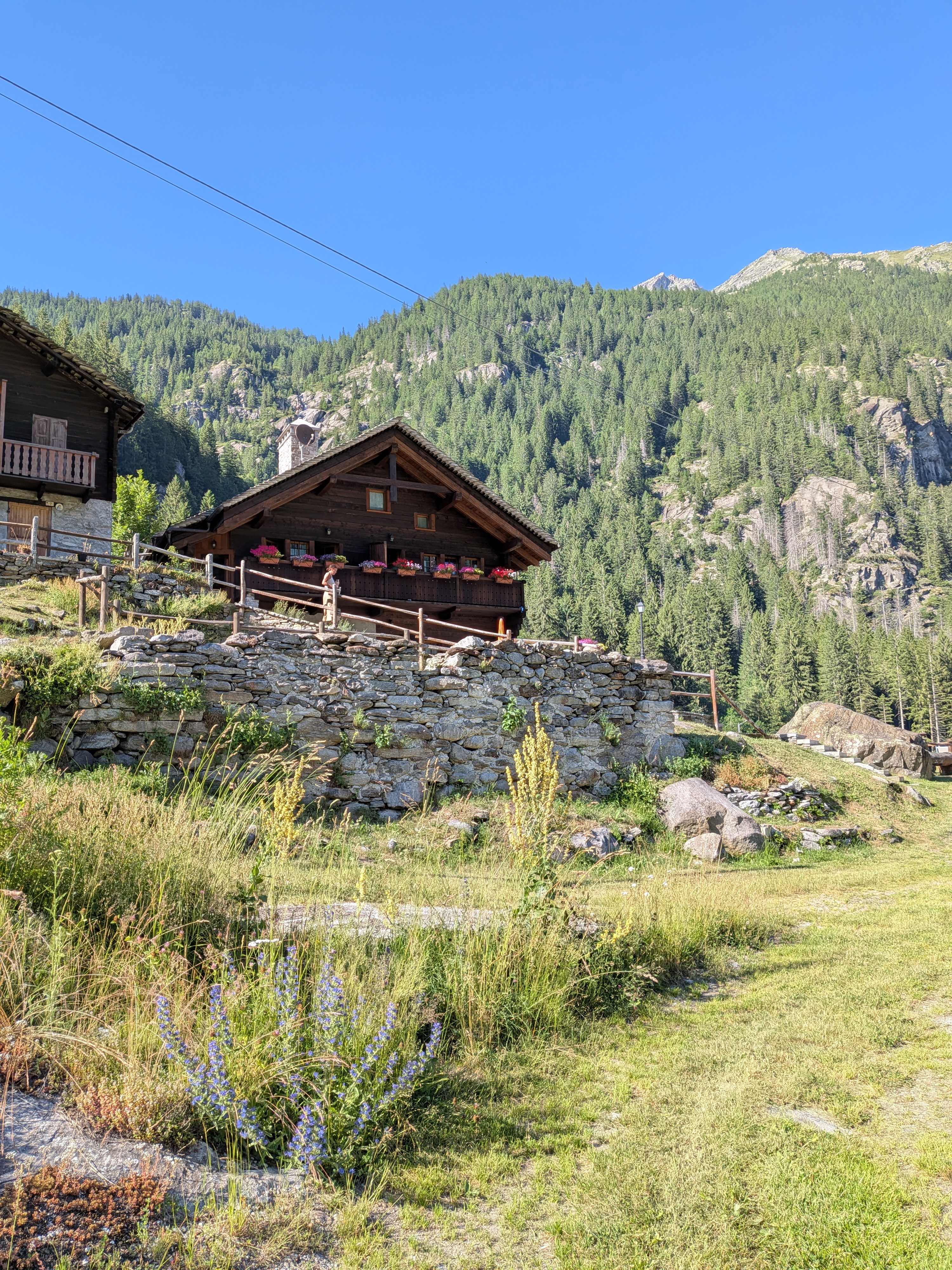 PXL_20250628_154644034.MP