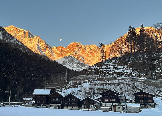 Immagine non trovata