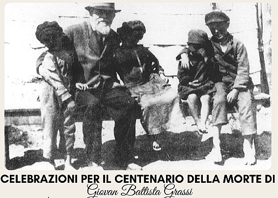 Immagine non trovata