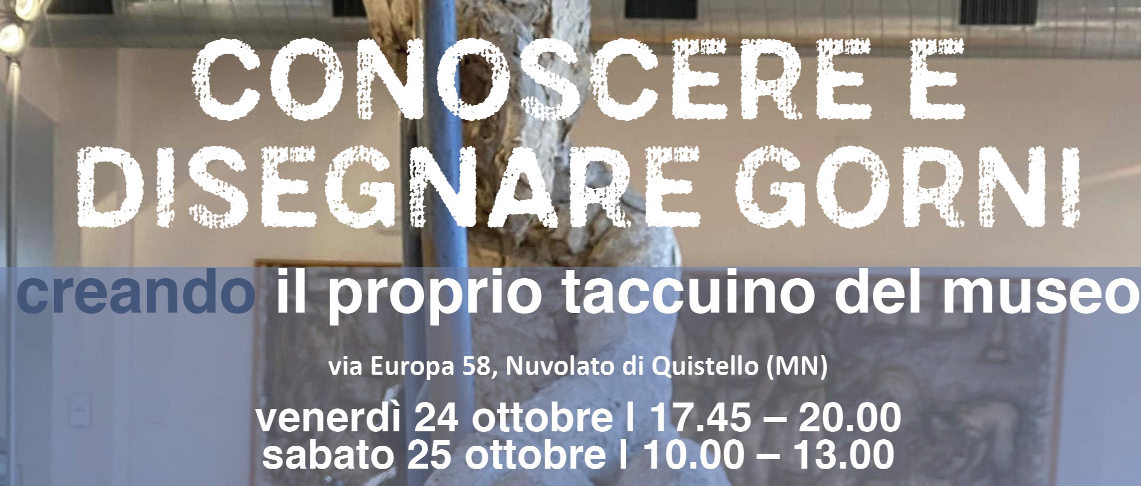 Immagine principale