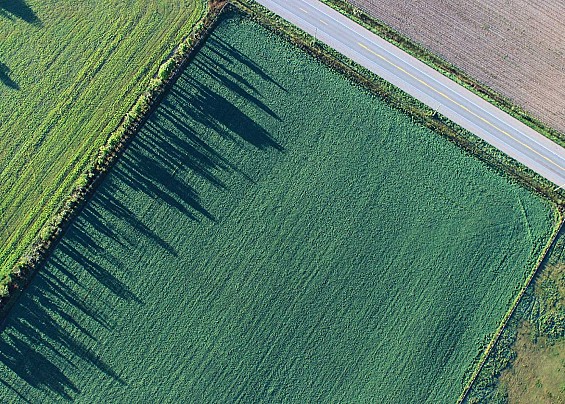 AVVISO D’ASTA PUBBLICA PER L’ALIENAZIONE DI TERRENI DI PROPRIETA’ COMUNALE SITI IN LOCALITA’ ISOLA INSERITI NEL PIANO DELLE ALIENAZIONI ANNUALITA’ 2024