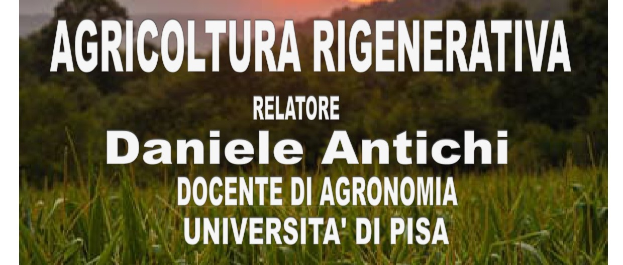 Immagine principale
