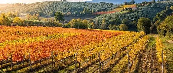 Giornata mondiale dell'Enoturismo