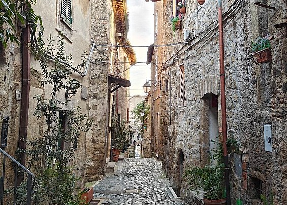 Immagine non trovata